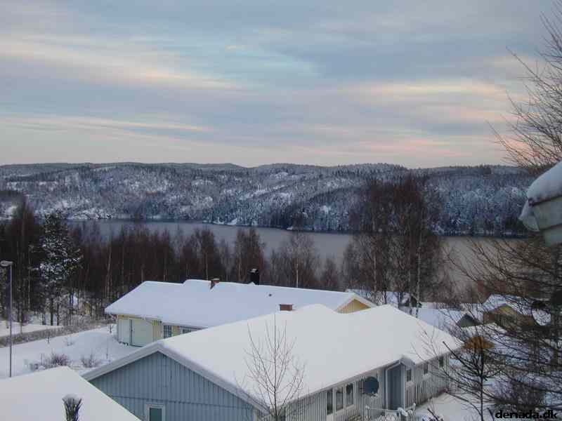 * Image 11
