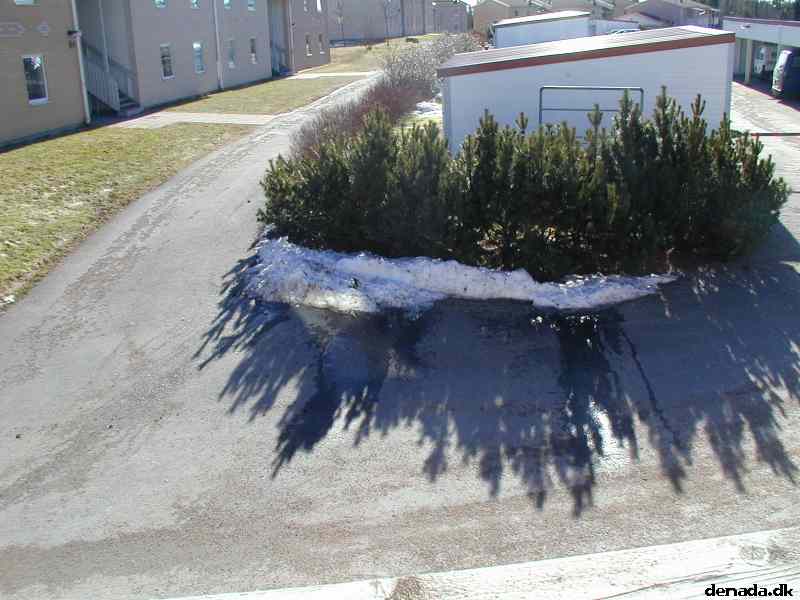 * Image 20