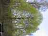 103-0395_IMG.JPG - 2002:05:03 16:46:33