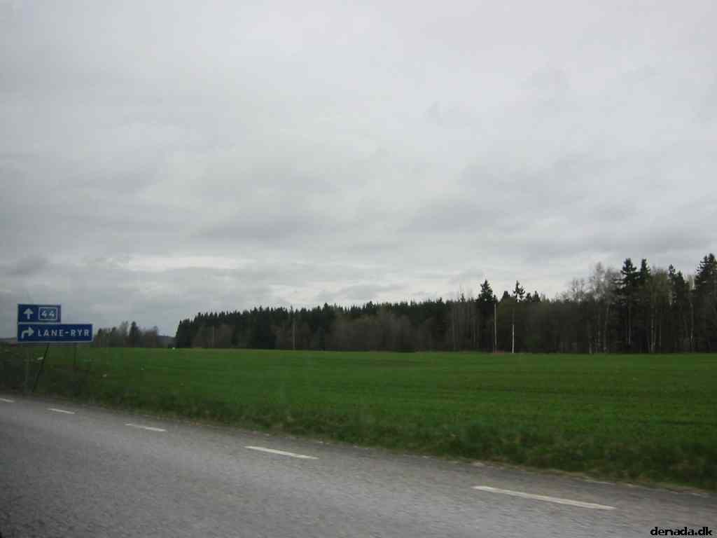 * Image 19