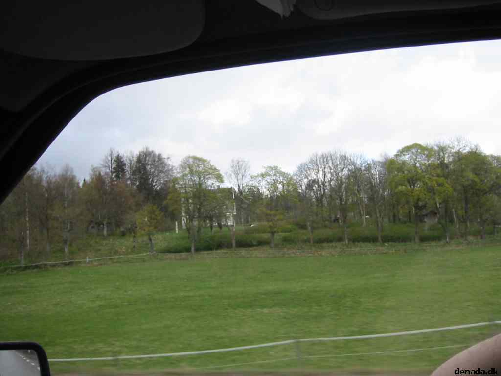 * Image 24