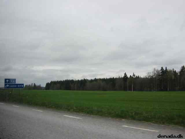 * Image 19