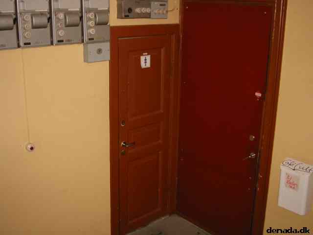 * Image 22