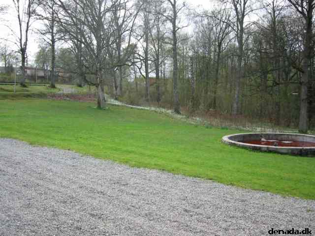 * Image 41