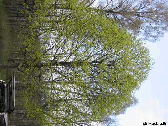 * Image 44