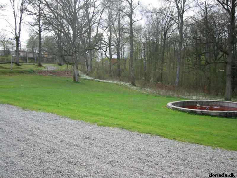* Image 41