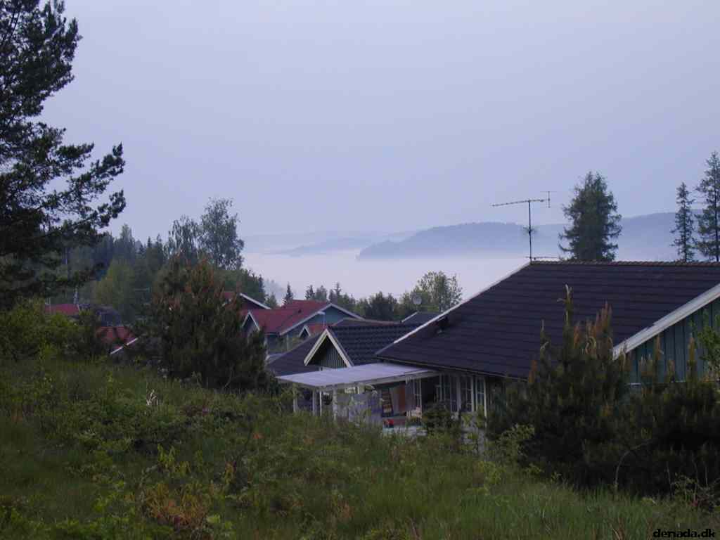 * Image 1