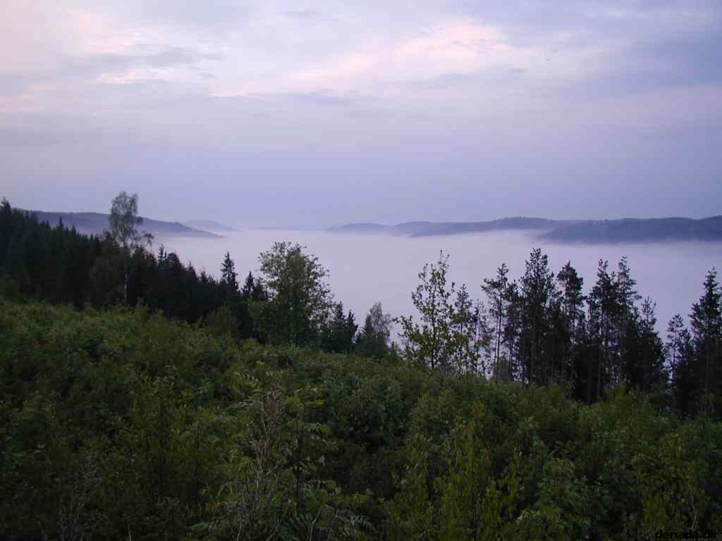 * Image 4