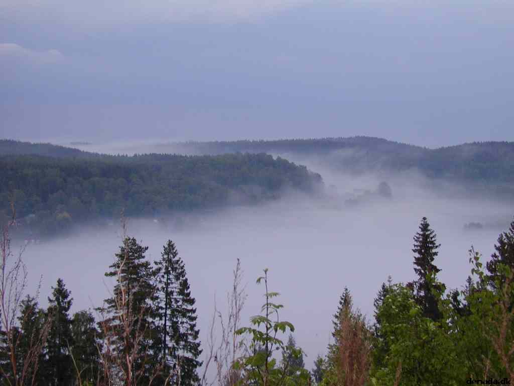 * Image 6