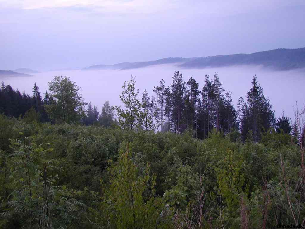 * Image 8