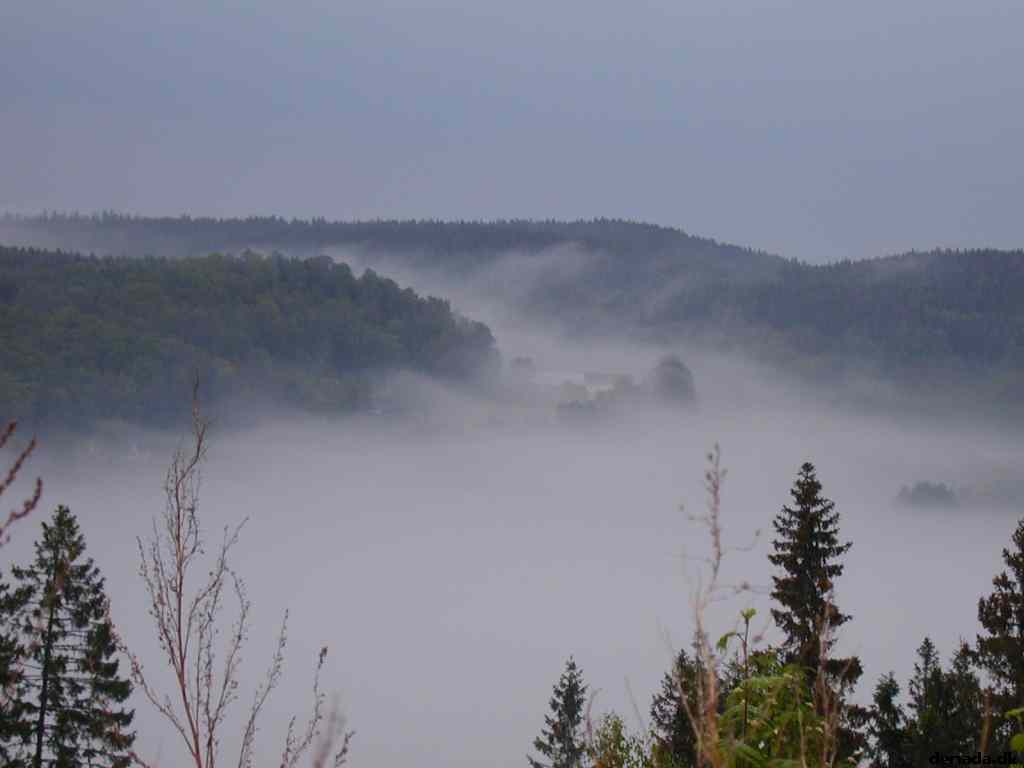 * Image 9