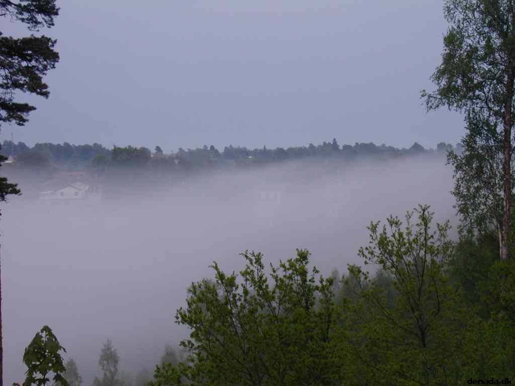 * Image 11