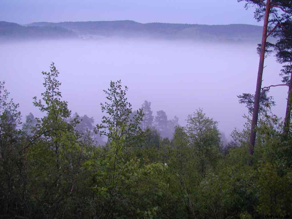 * Image 12