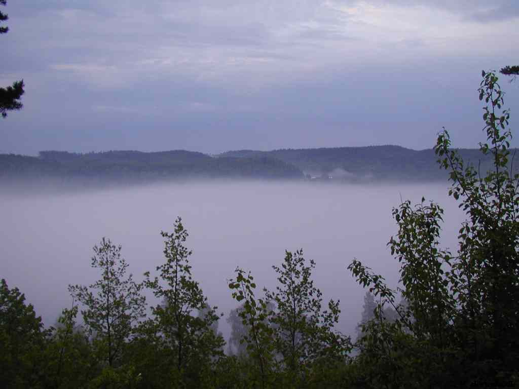 * Image 15