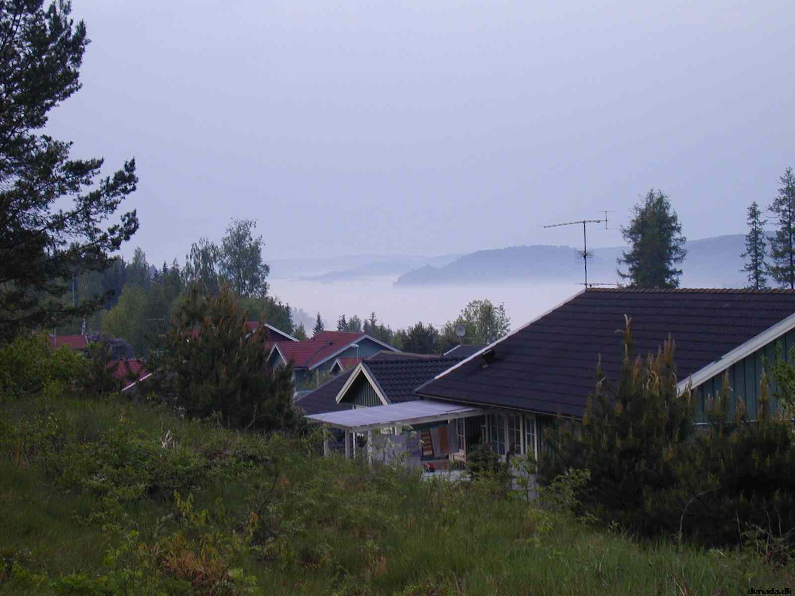 * Image 1