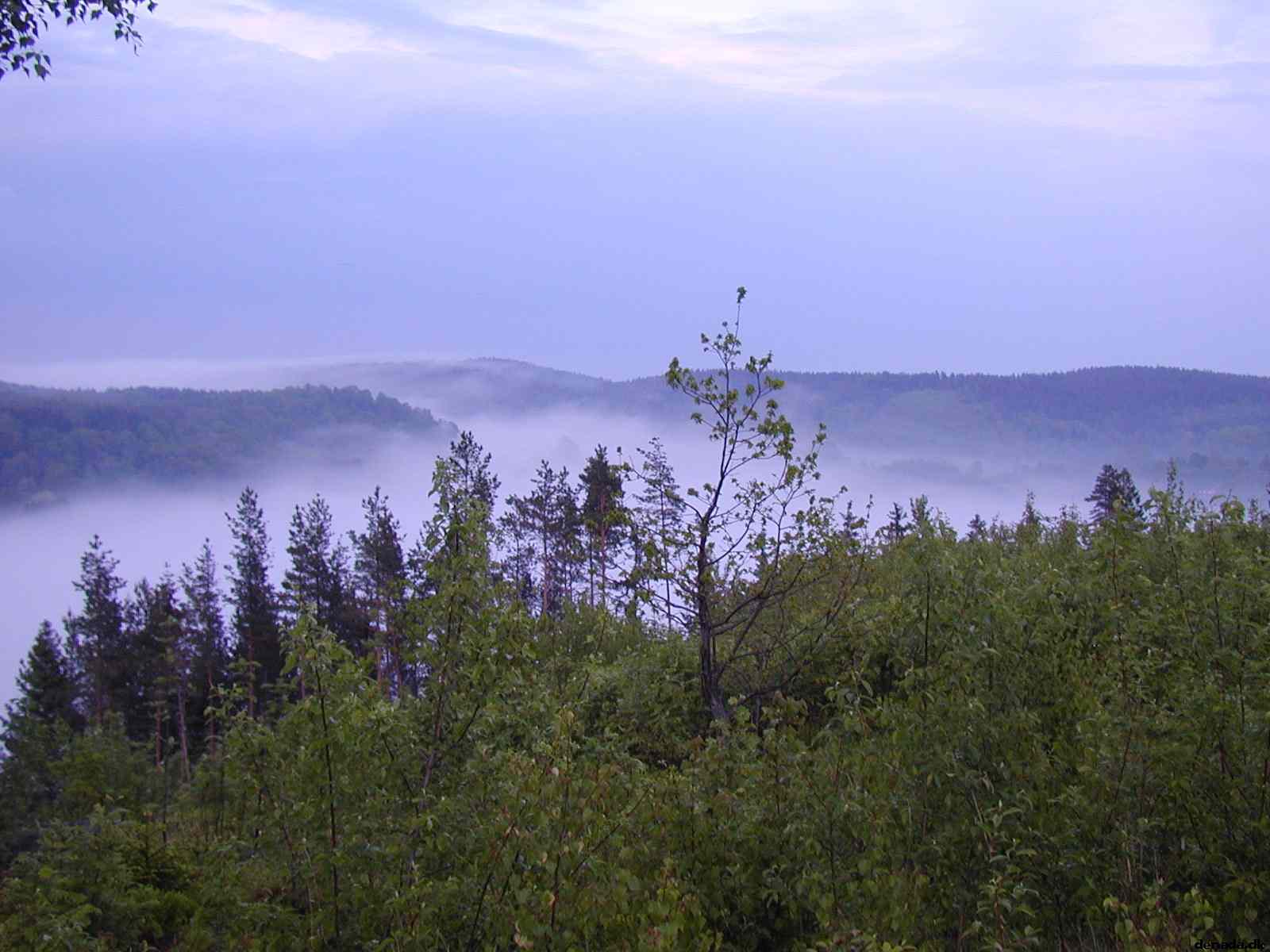 * Image 3