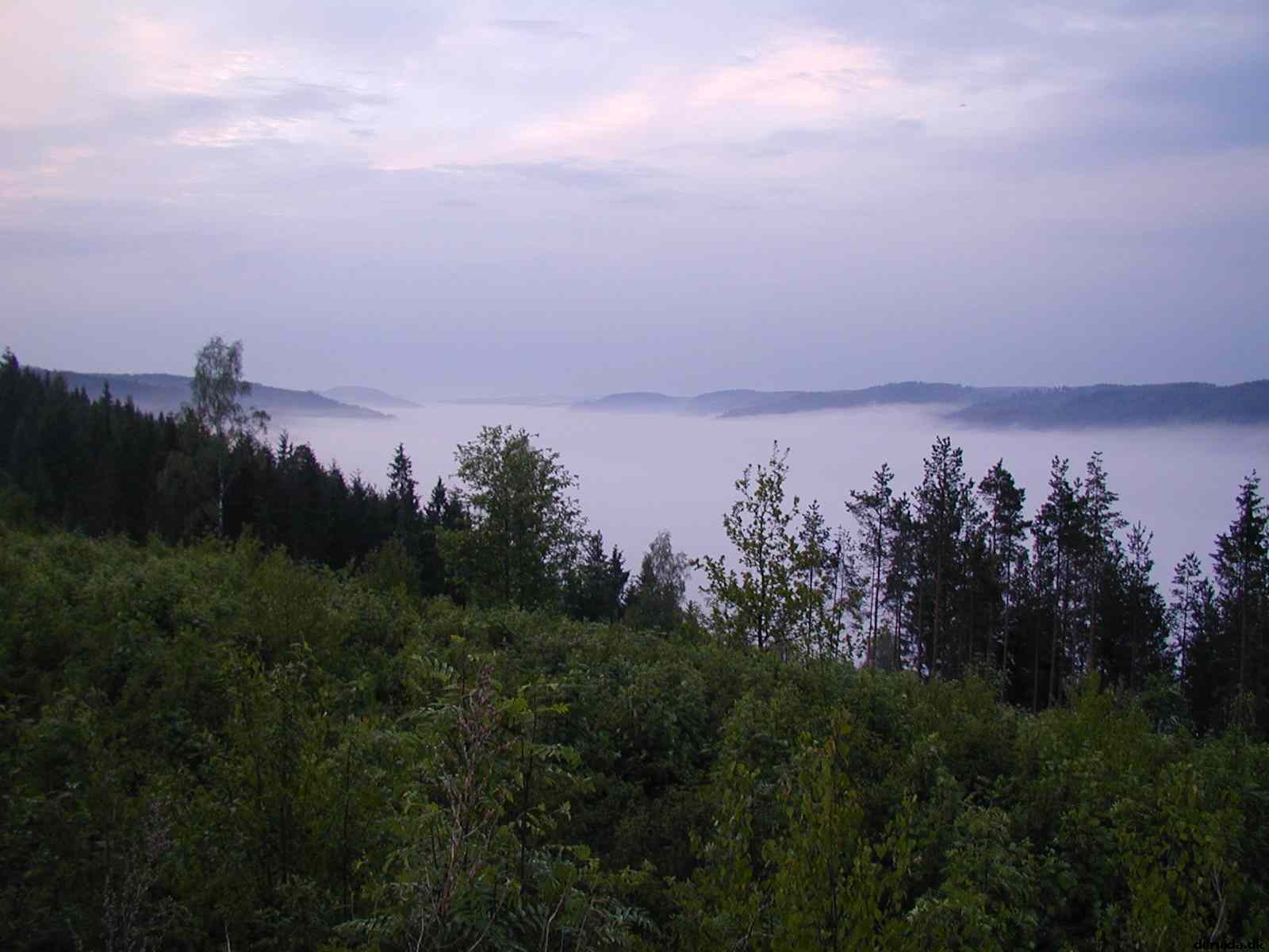 * Image 4