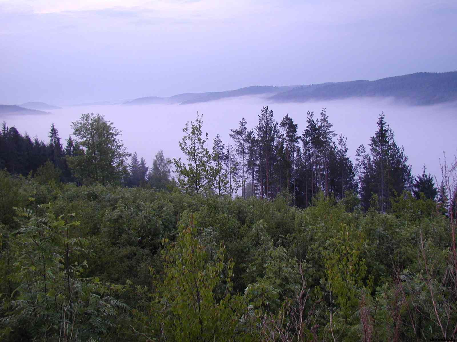 * Image 8