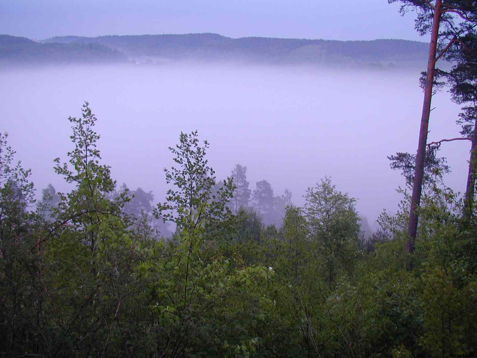 * Image 12