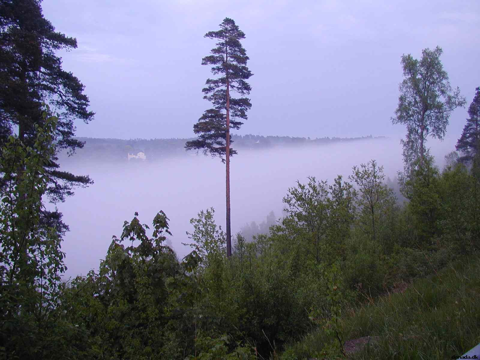 * Image 13