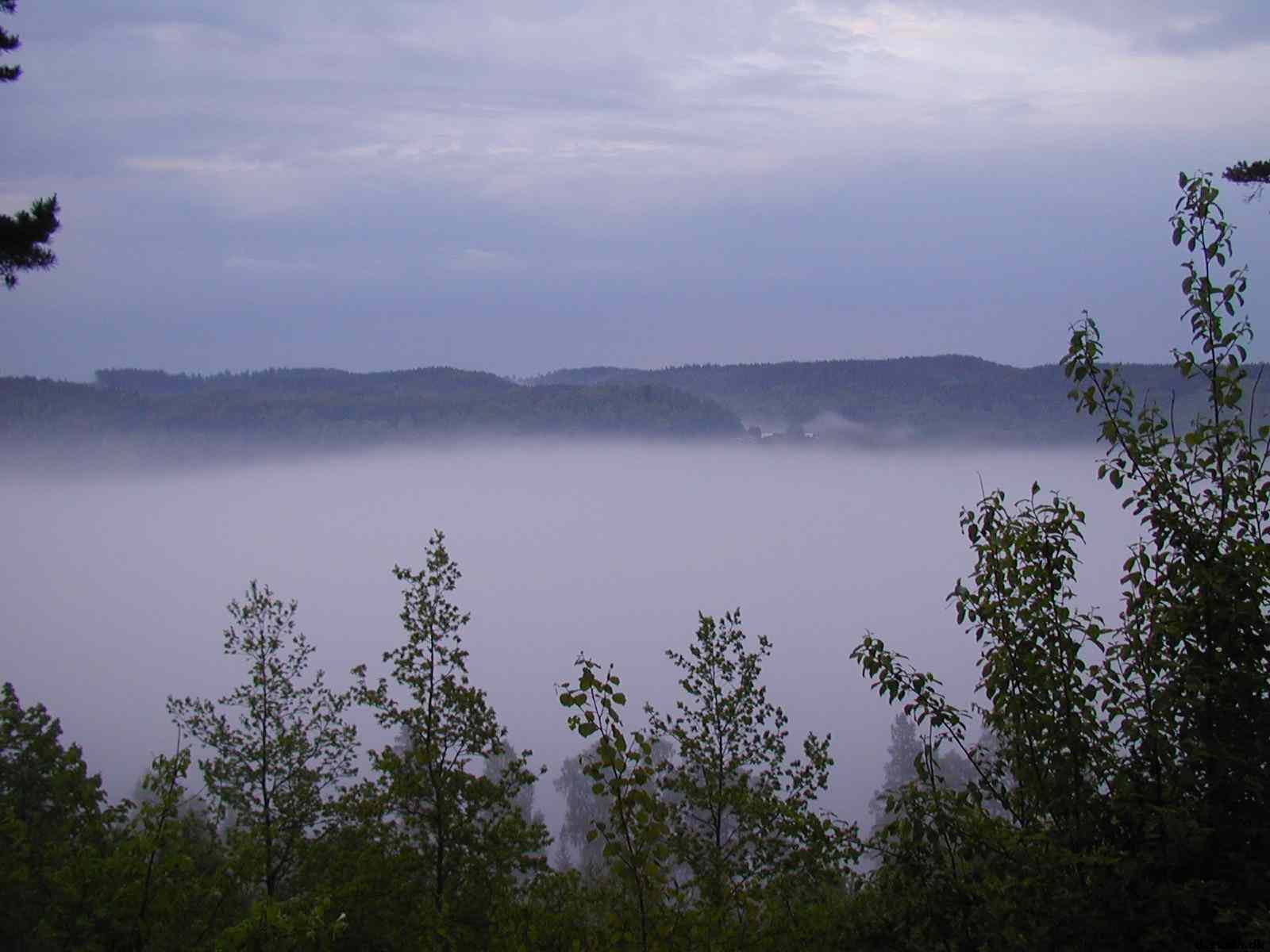 * Image 15
