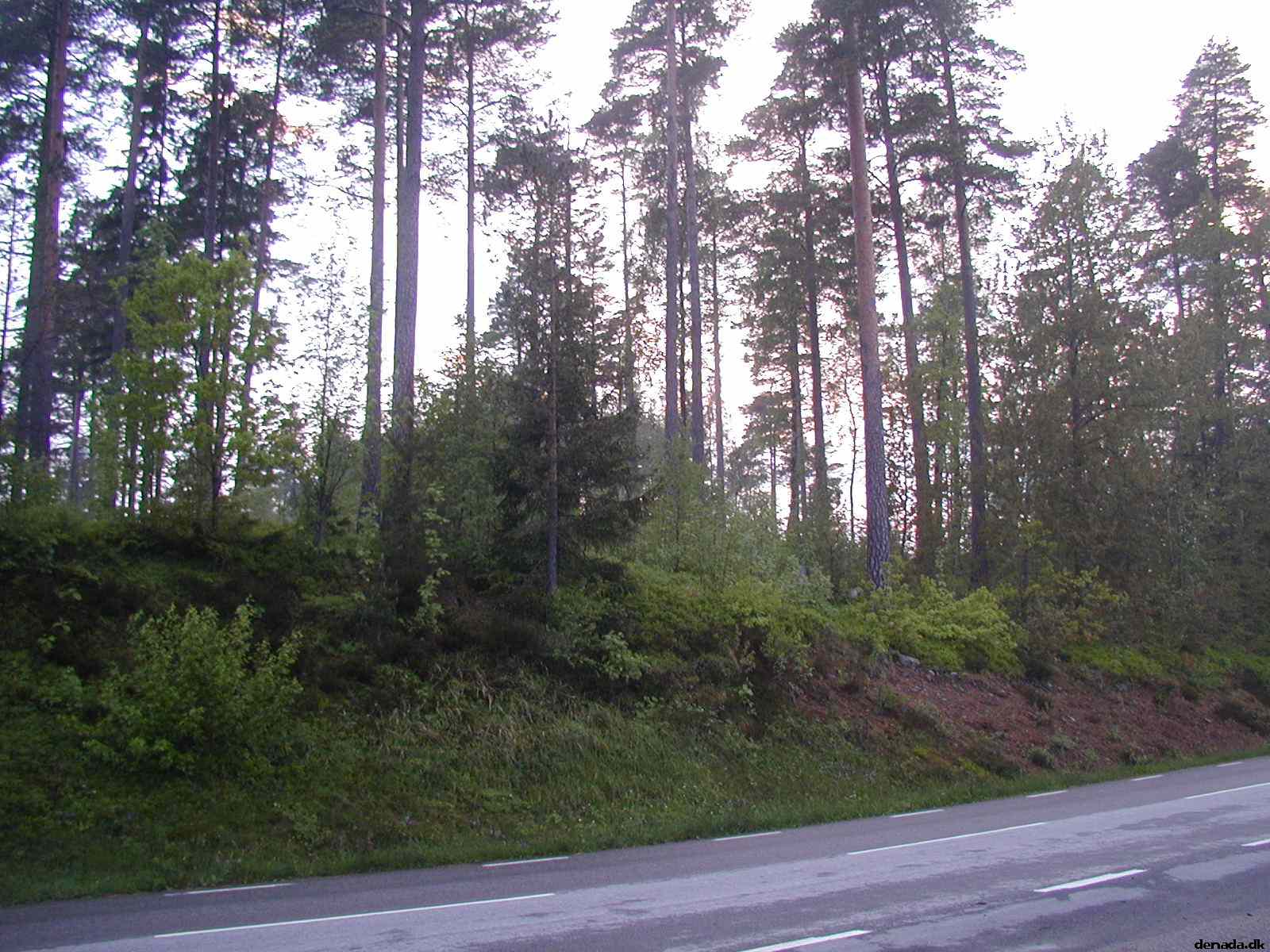 * Image 16