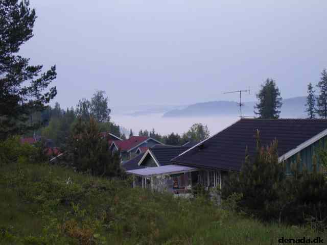 * Image 1