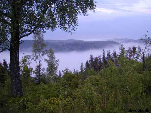 * Image 2