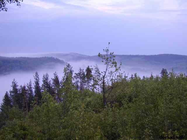 * Image 3