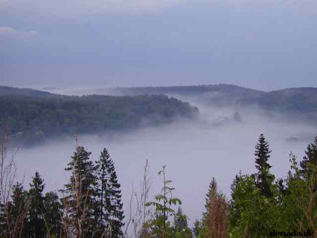 * Image 6