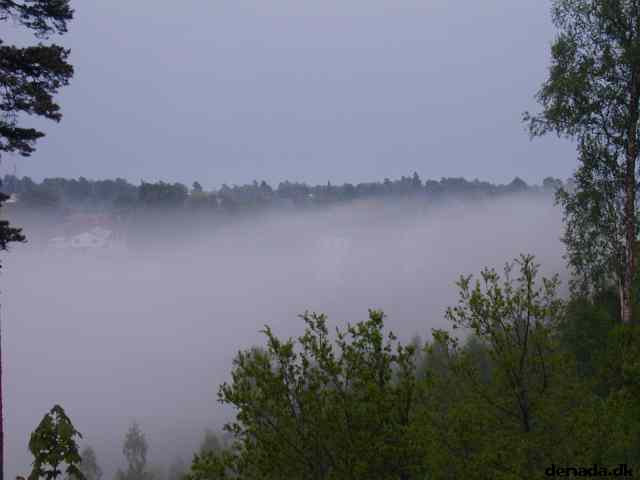 * Image 11