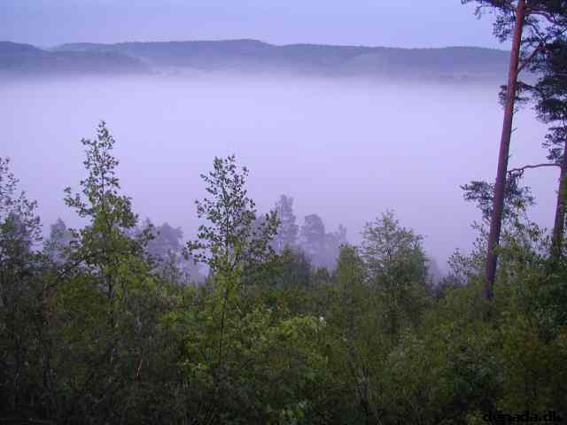* Image 12