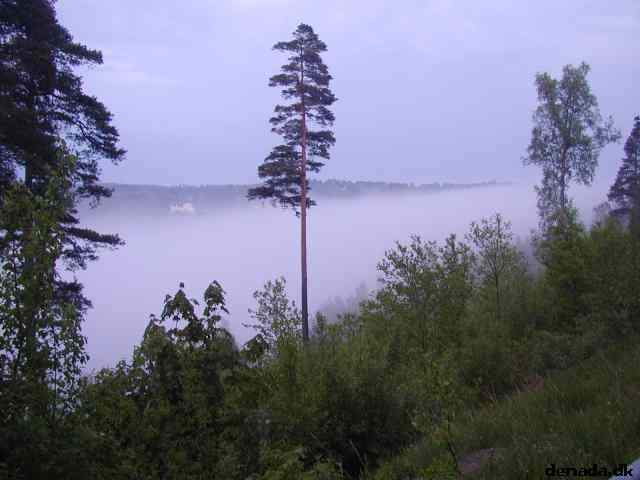 * Image 13