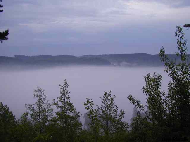 * Image 15