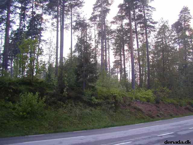 * Image 16