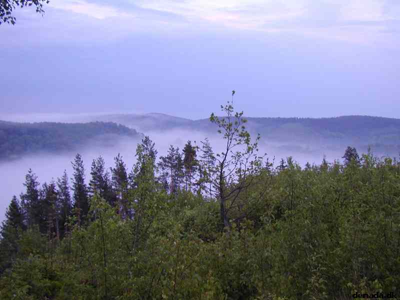 * Image 3