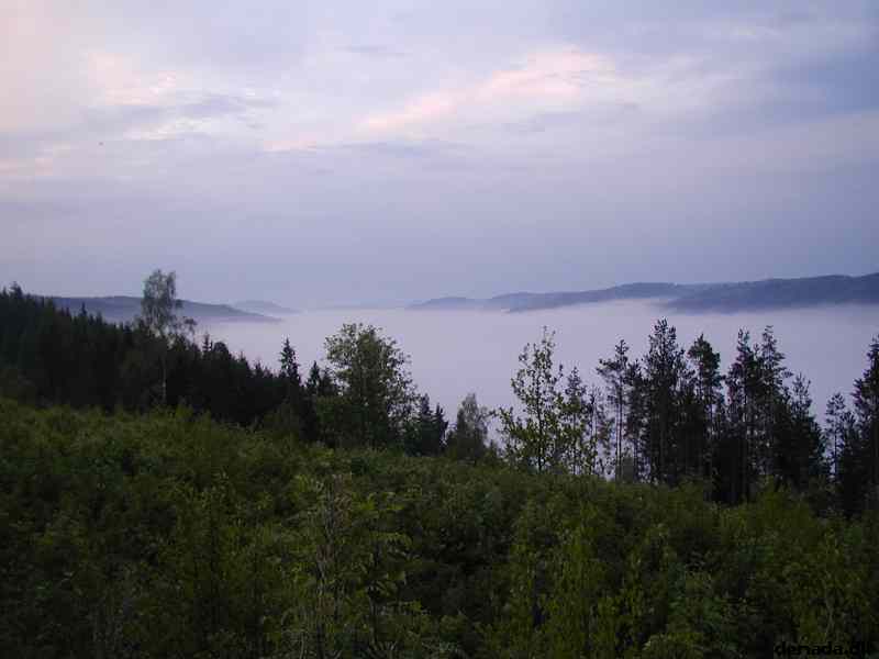 * Image 5