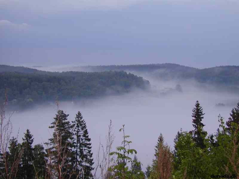 * Image 6