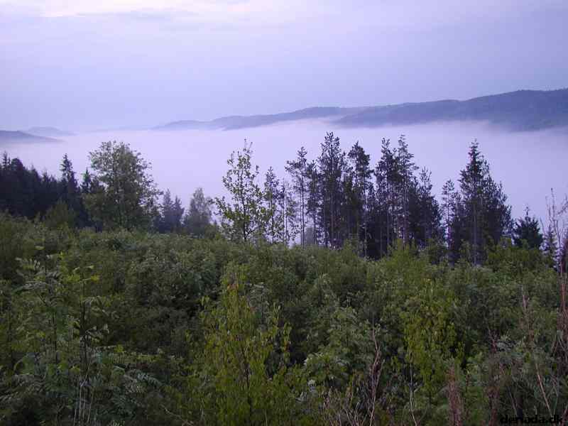 * Image 8