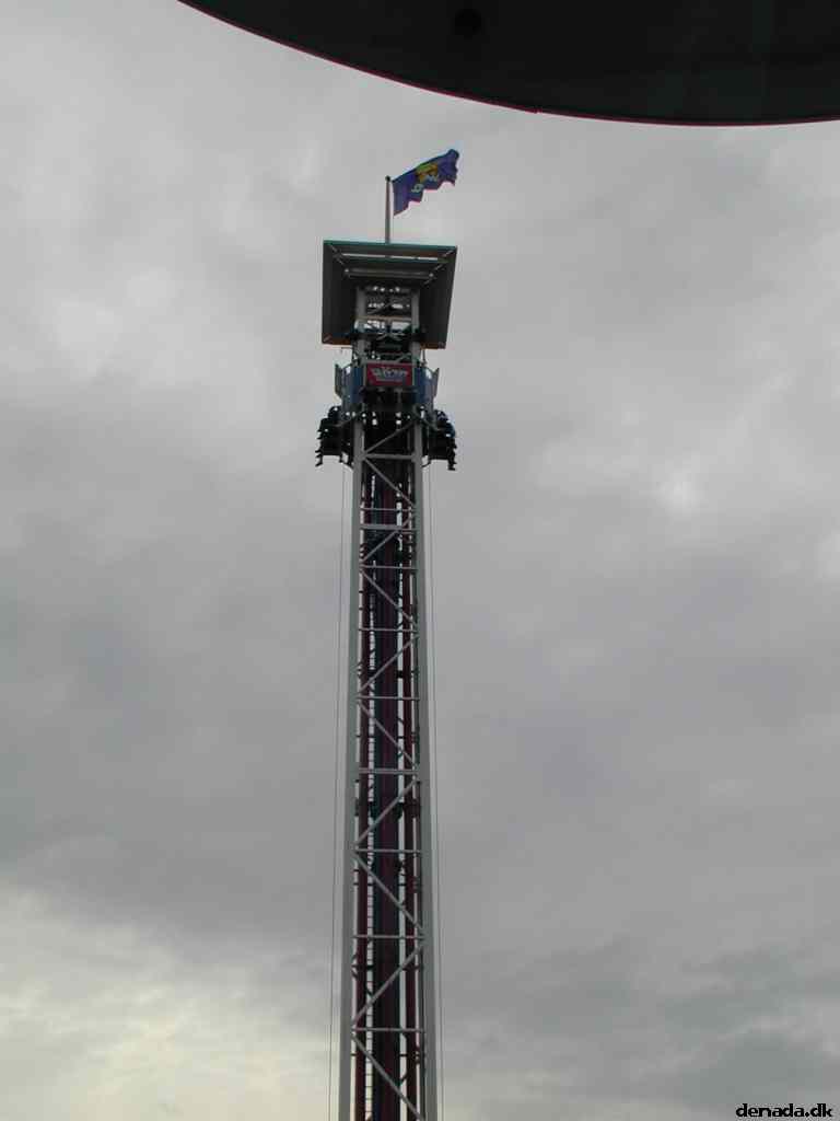 * Image 19