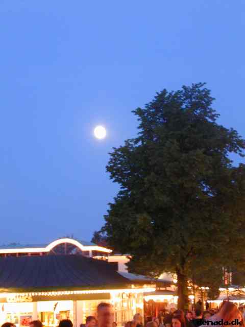 * Image 36