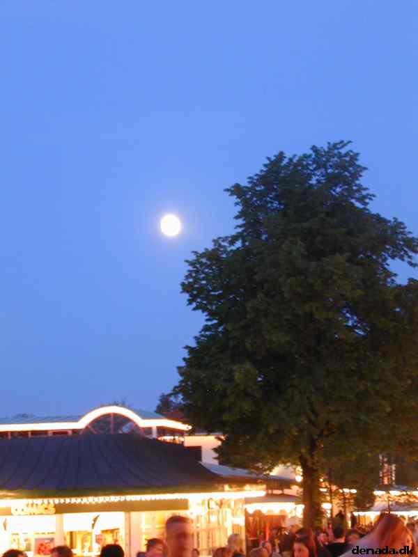 * Image 36