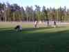 2002_05_26-20_48_27.jpg - 2002:05:26 18:48:27