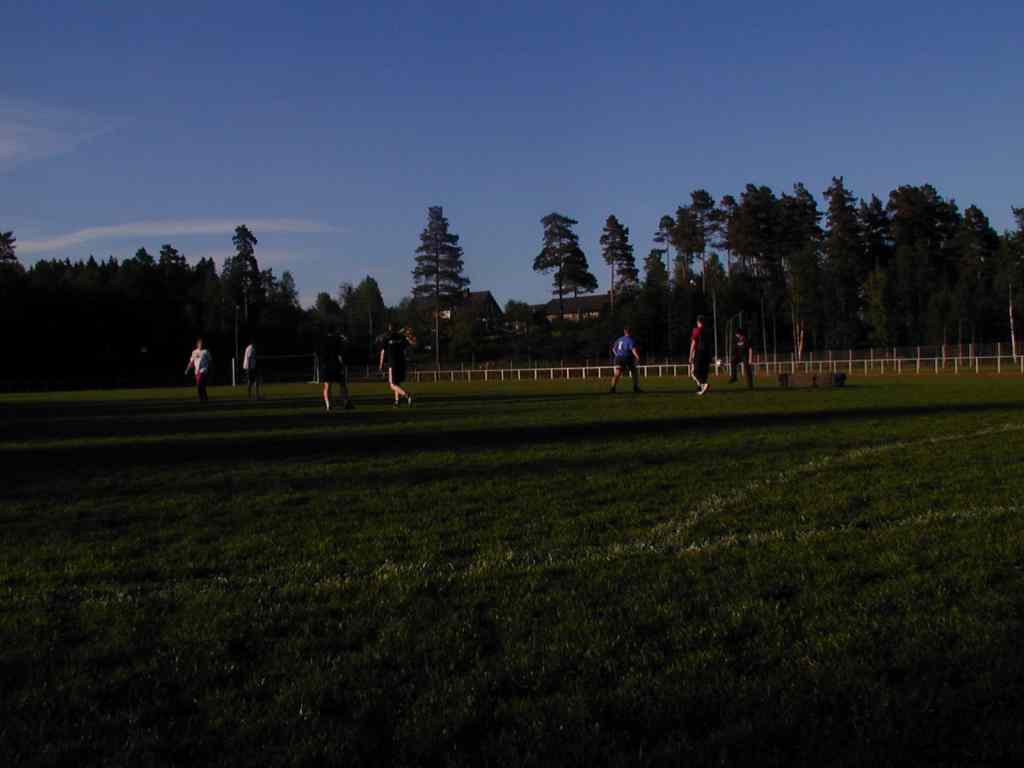 * Image 5