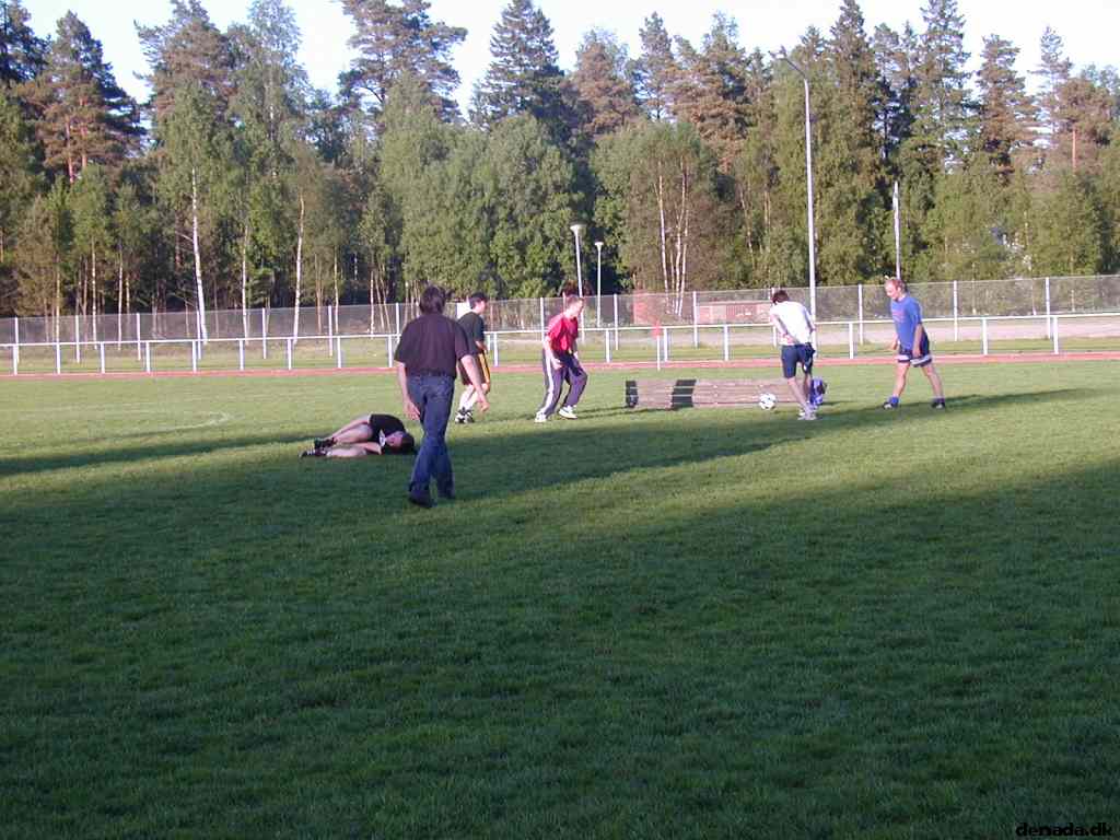 * Image 12