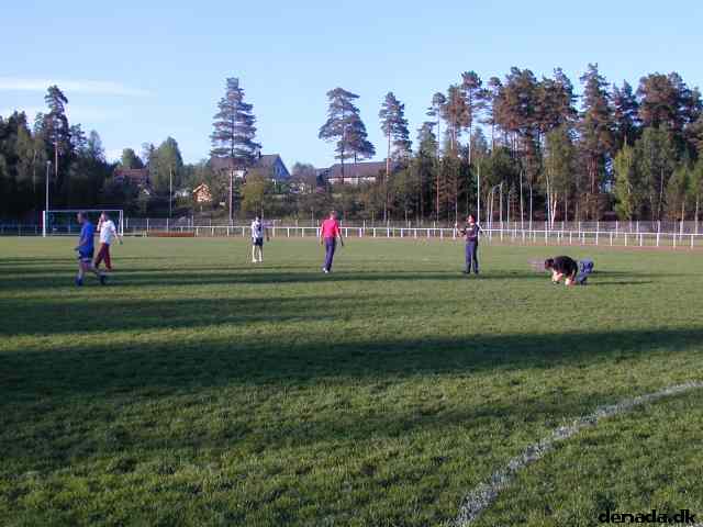 * Image 8