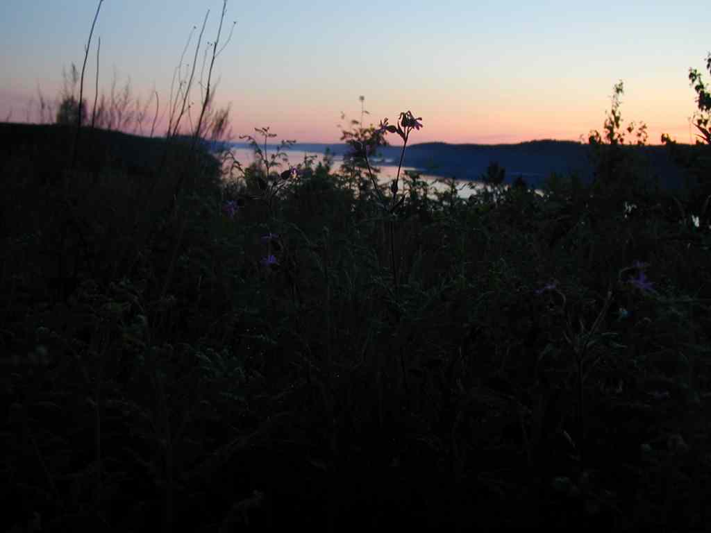 * Image 43