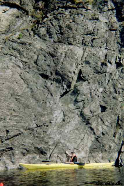 * Image 4
