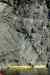 IMM005.JPG - 