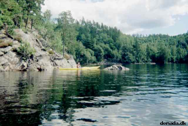 * Image 3